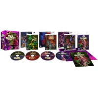 Seltsames Wisconsin: Die Bill Rebane Sammlung - Limitierte Auflage