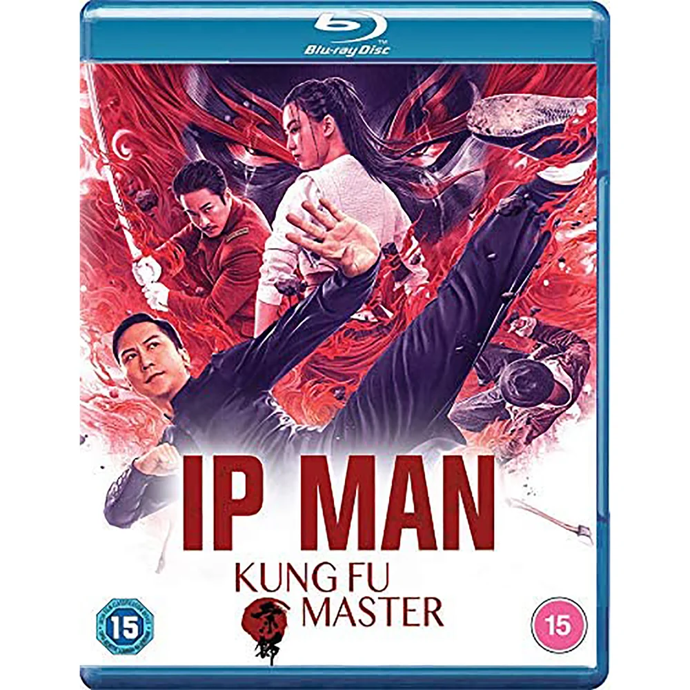 IP Man: Kung Fu Meister Bild 1