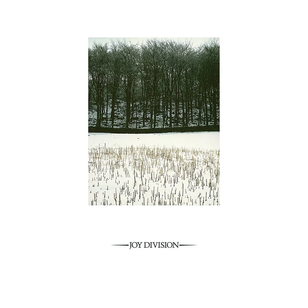 Joy Division - Atmosphäre 30,5 cm Bild 1