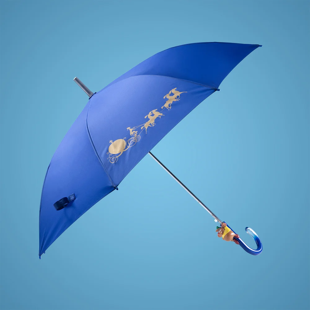 Cinderella Umbrella Bild 1