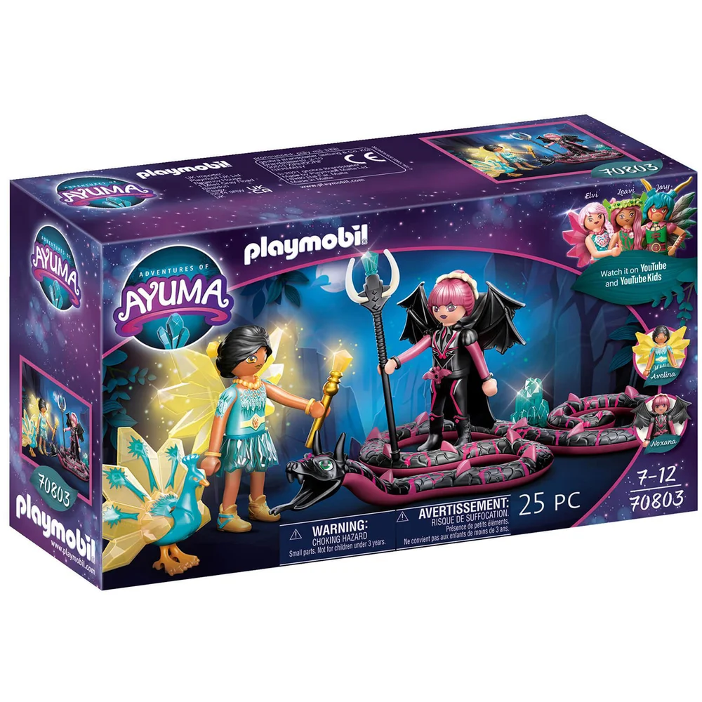 Playmobil Two Fairies with Two Spirit Animals (70803) Bild 1