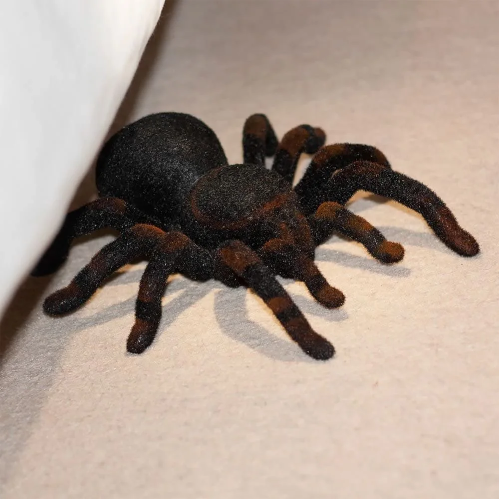 RC Tarantula Bild 1
