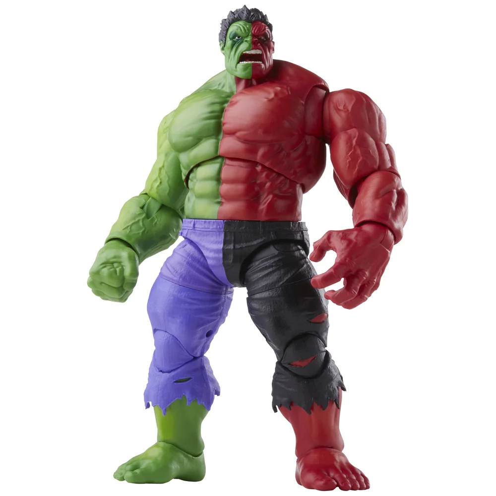 Hasbro Marvel Legends Series Compound Hulk 6 Inch Action Figure Bild 1