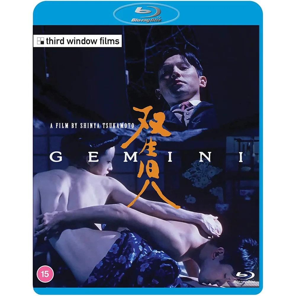 Gemini Bild 1