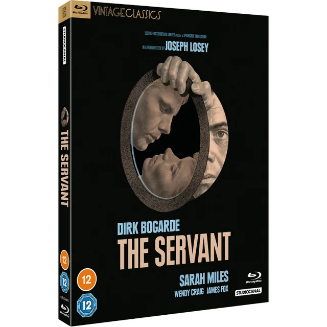 The Servant (Vintage Classics)