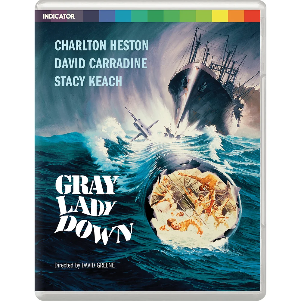Gray Lady Down (Limited Edition) Bild 1