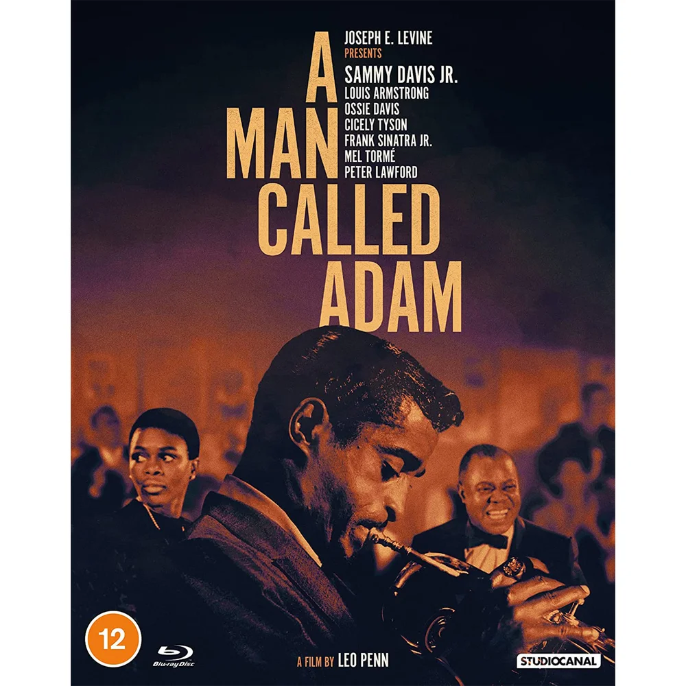 A Man Called Adam Bild 1