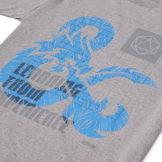 Dungeons & Dragons Learning From Experience Unisex T-Shirt - Grau
