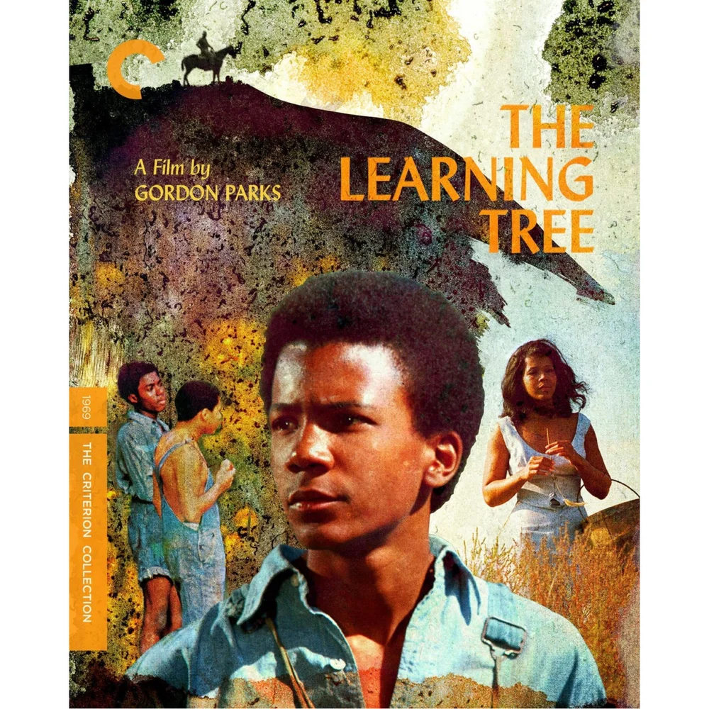 The Learning Tree - The Criterion Collection (US Import) Bild 1