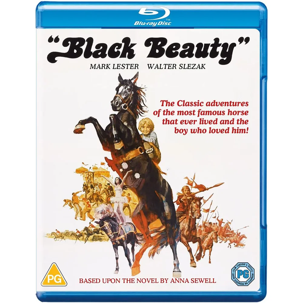 Black Beauty Bild 1