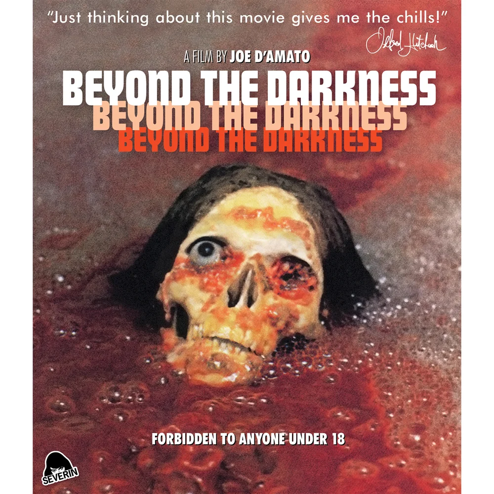 Beyond the Darkness (Includes CD) (US Import) Bild 1