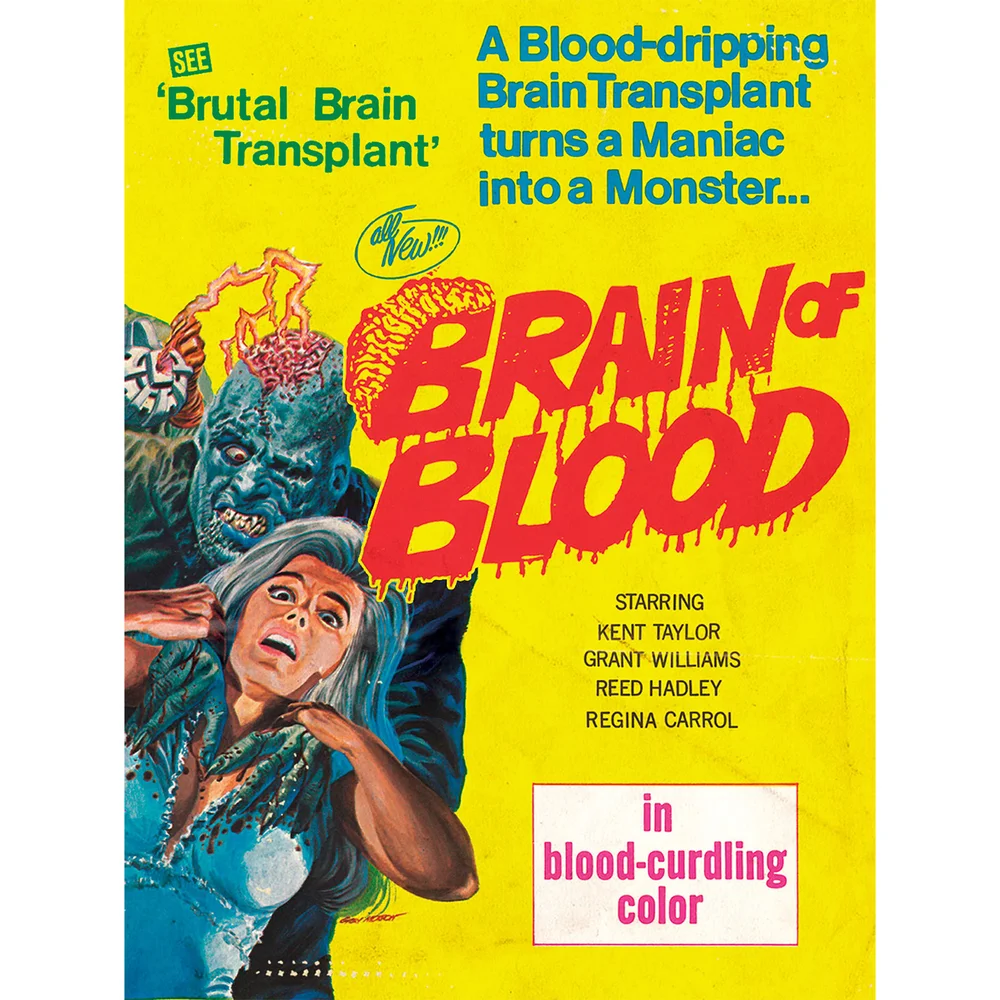 Brain Of Blood (US Import) Bild 1