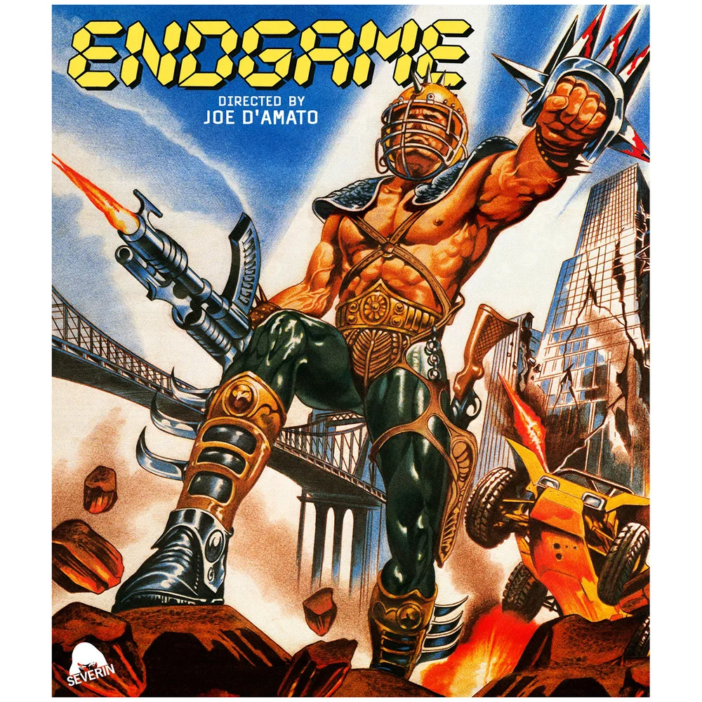 Endgame (Includes CD) (US Import) Bild 1