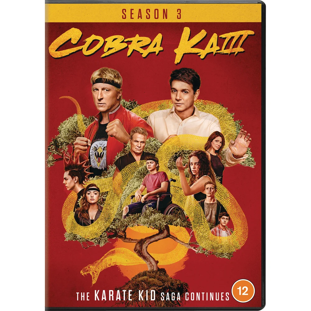 Cobra Kai - Seasons 03 Bild 1