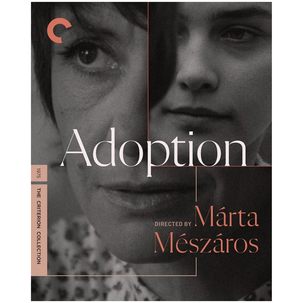 Adoption - The Criterion Collection (US Import) Bild 1