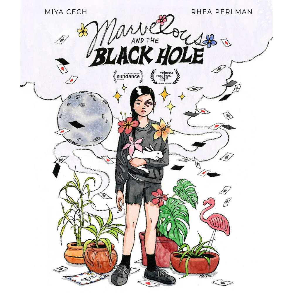 Marvelous and the Black Hole (US Import) Bild 1