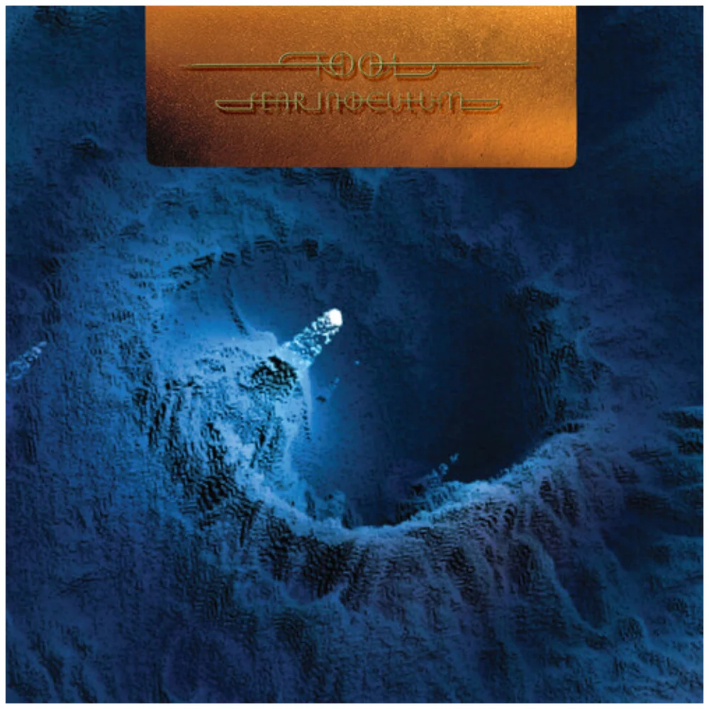 Tool - Fear Inoculum 180g 5xLP Box Set Bild 1