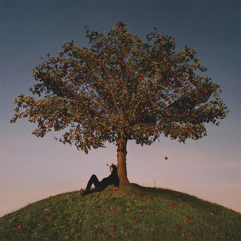 Slowthai - Tyron Vinyl Bild 1