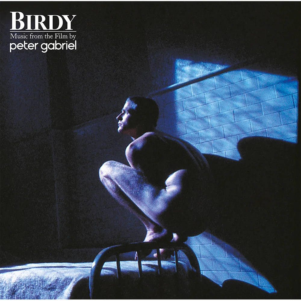 Peter Gabriel - Birdy - Music From The Film Vinyl Bild 1
