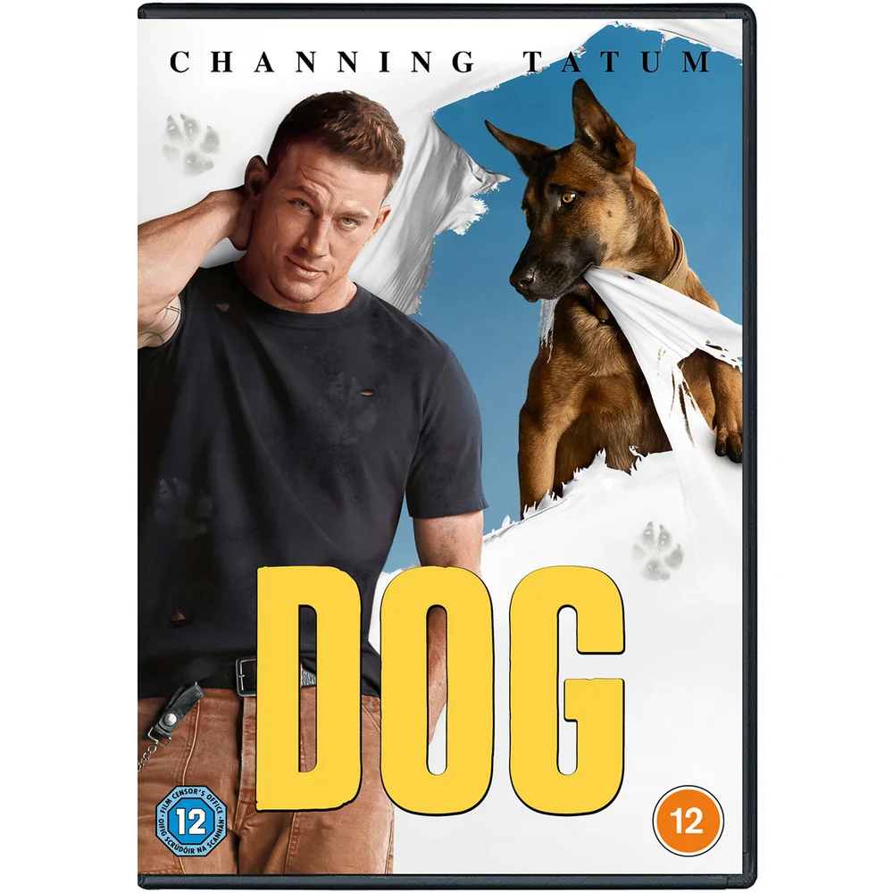 Dog Bild 1