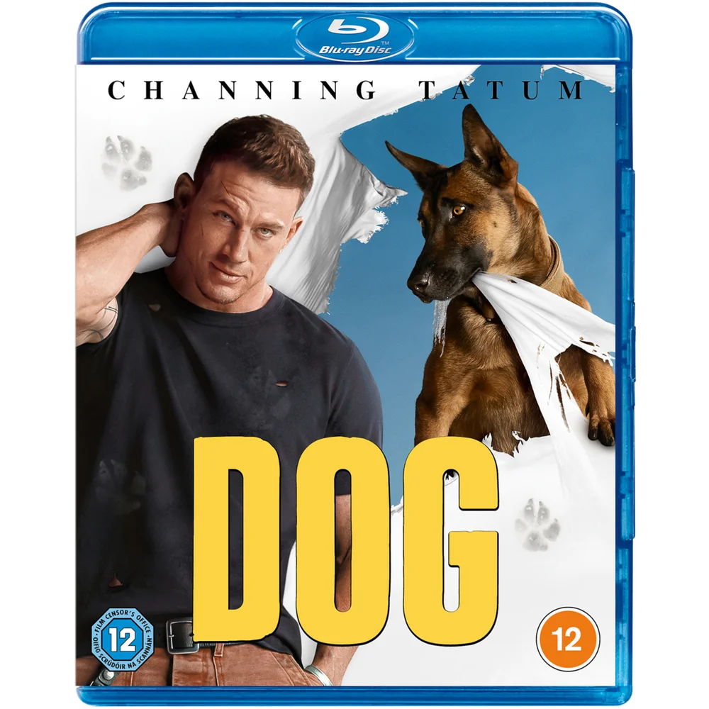 Dog Bild 1