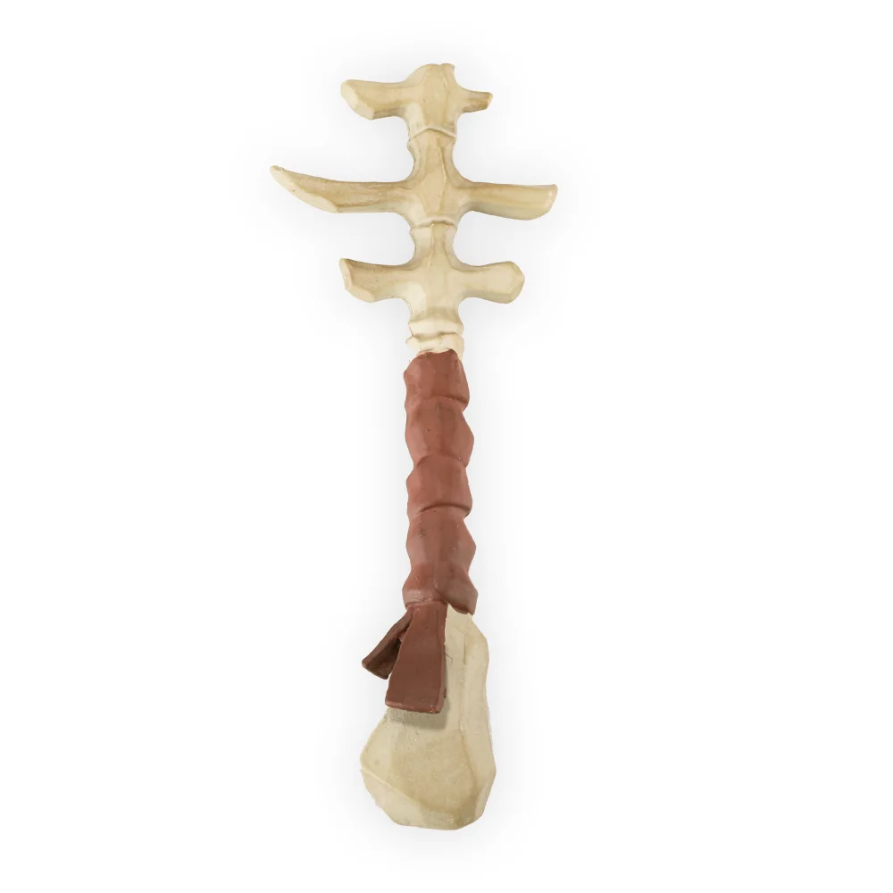 DUST! Sea of Thieves Skeleton Key - Rare Store Exclusive Bild 1
