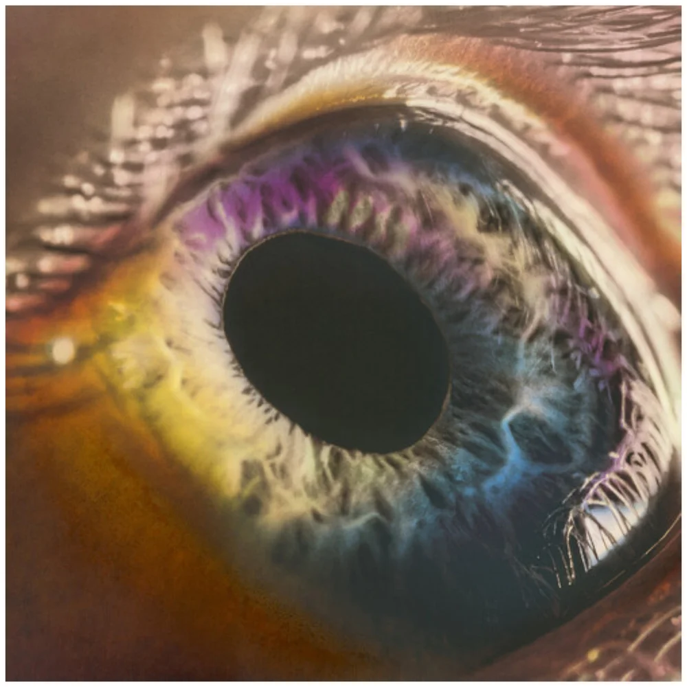 Arcade Fire - WE 180g Vinyl (White) Bild 1