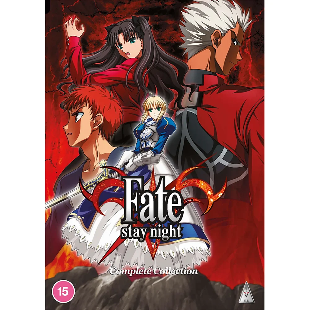 Fate Stay Night slim pack Bild 1