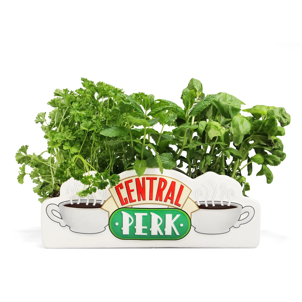 Friends Central Perk Table Top Vase Bild 1