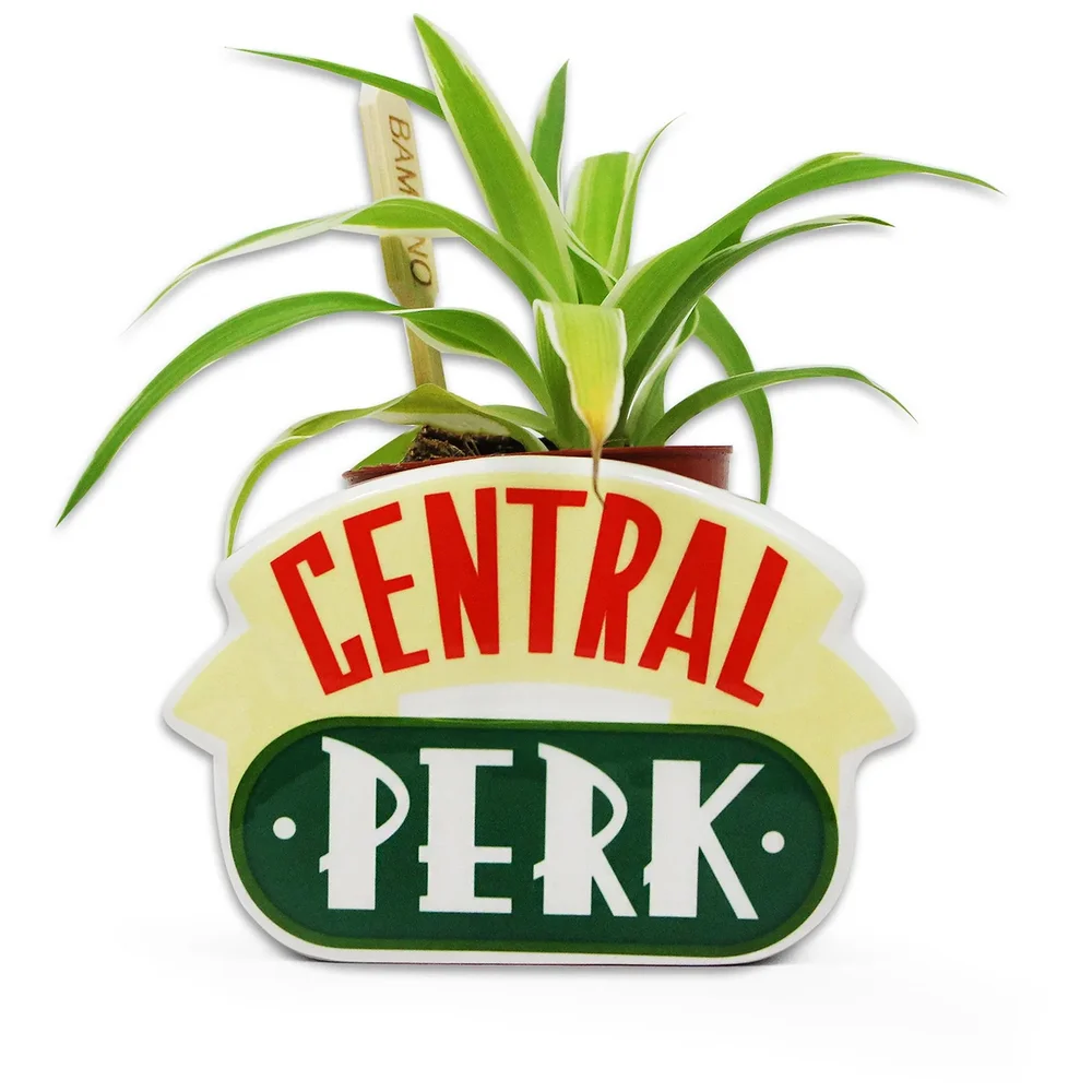 Friends Central Perk Plant Pot Bild 1