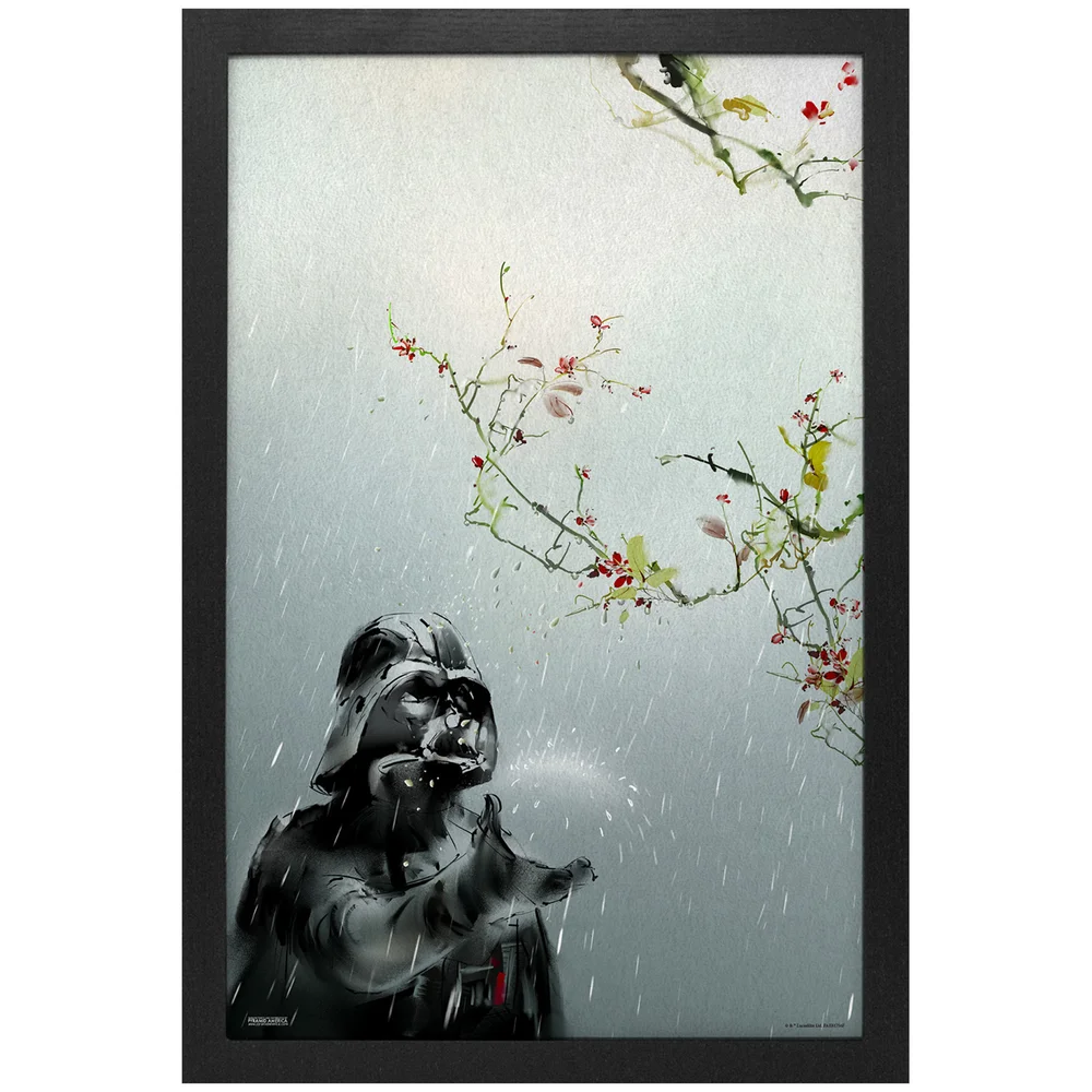 Star Wars Seasons Spring Vader Framed Art Print Bild 1