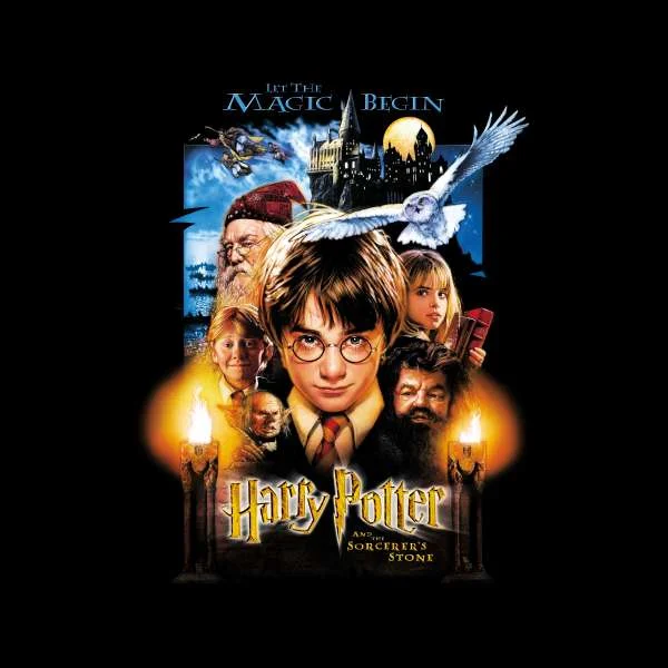Harry Potter The Sorcerer's Stone Hoodie - Black