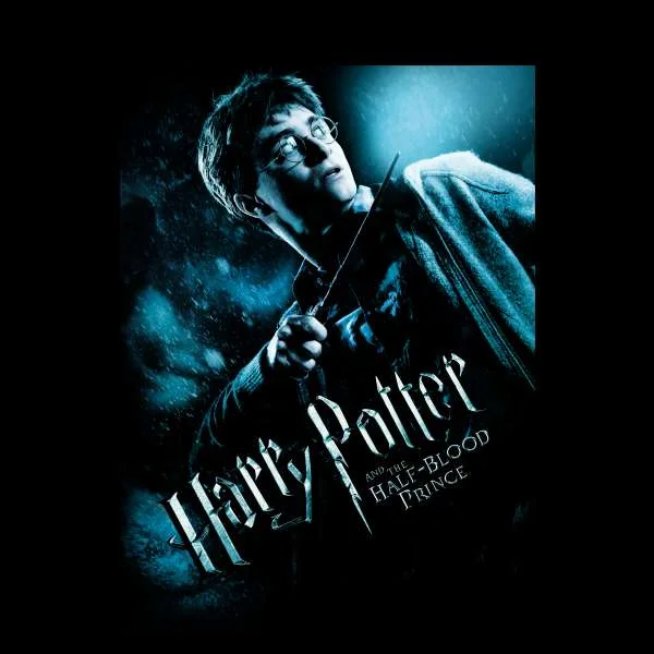 Harry Potter Half-Blood Prince Hoodie - Black