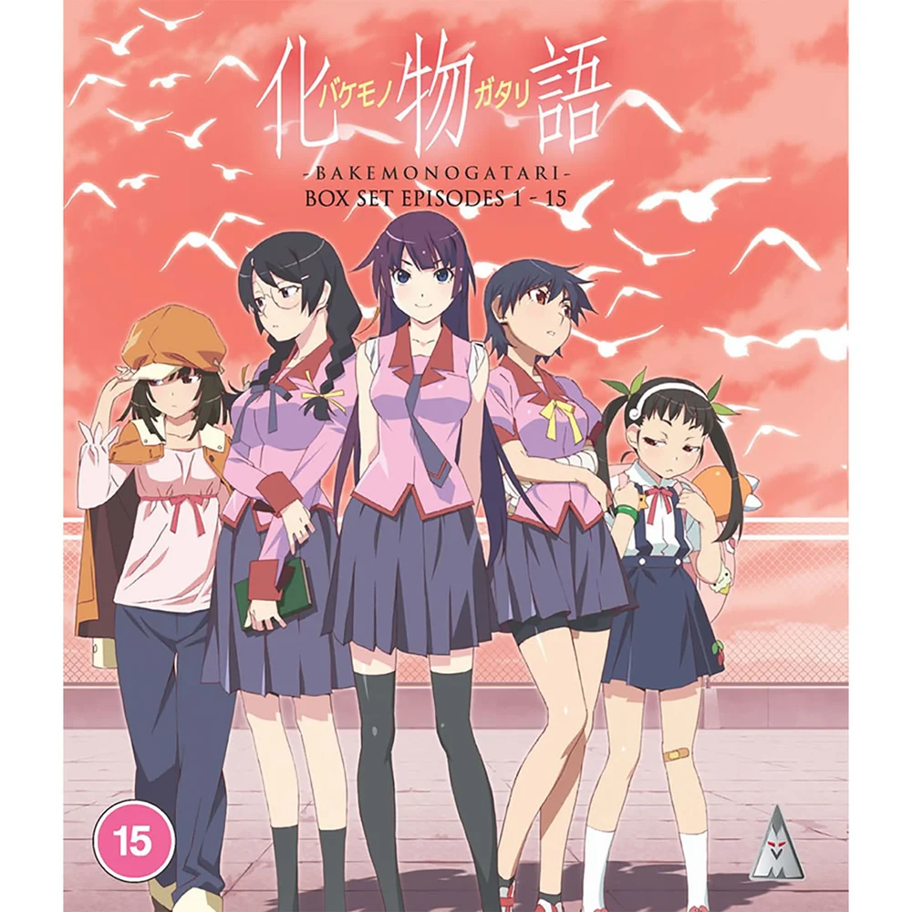 Bakemonogatari Collection Bild 1