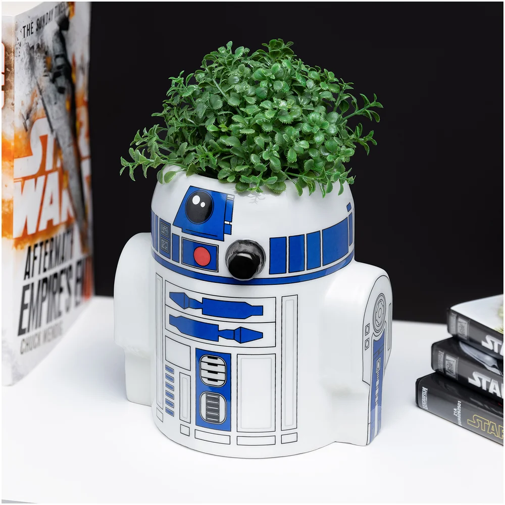 Star Wars R2D2 Pen / Plant Pot Bild 1