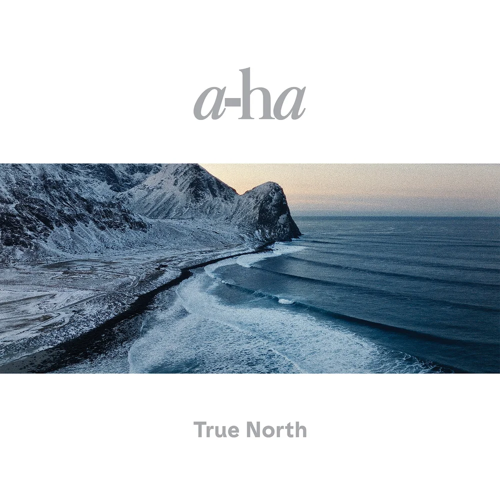 a-ha - True North Vinyl Bild 1
