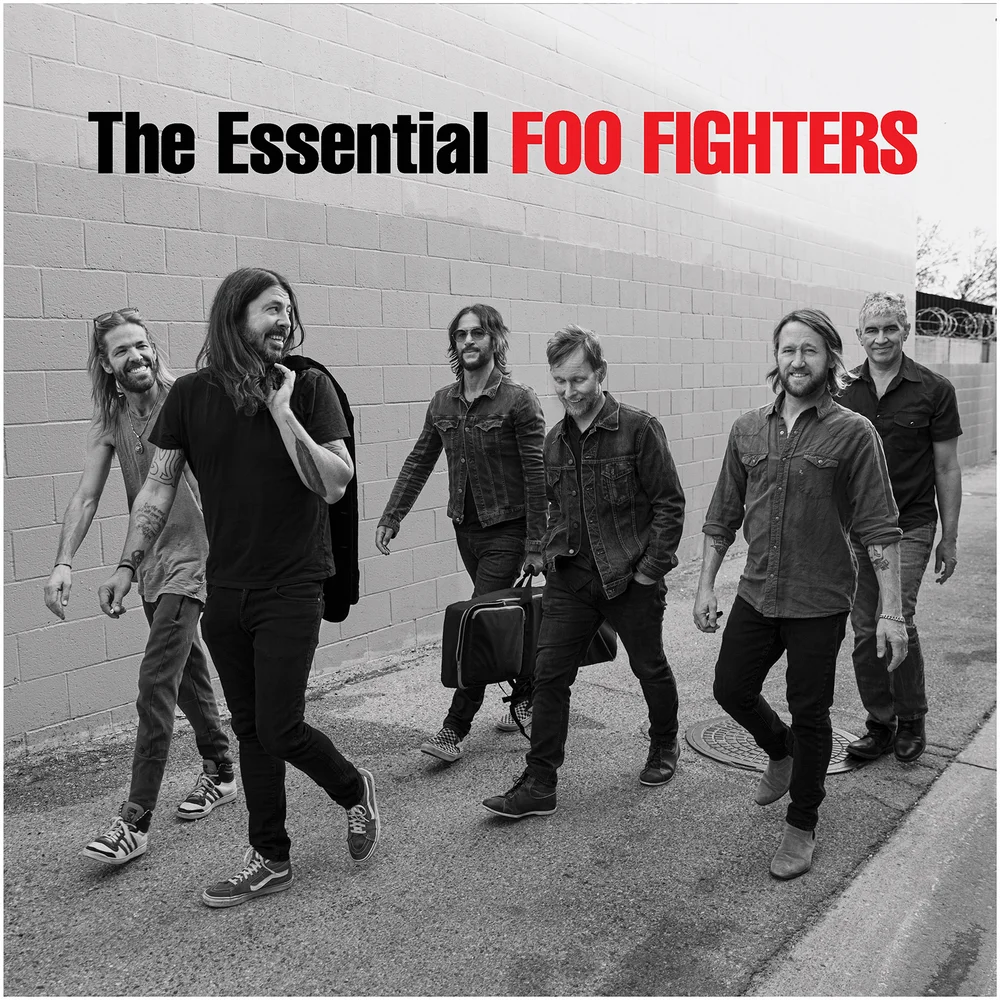 Foo Fighters - The Essential Foo Fighters Vinyl 2LP Bild 1