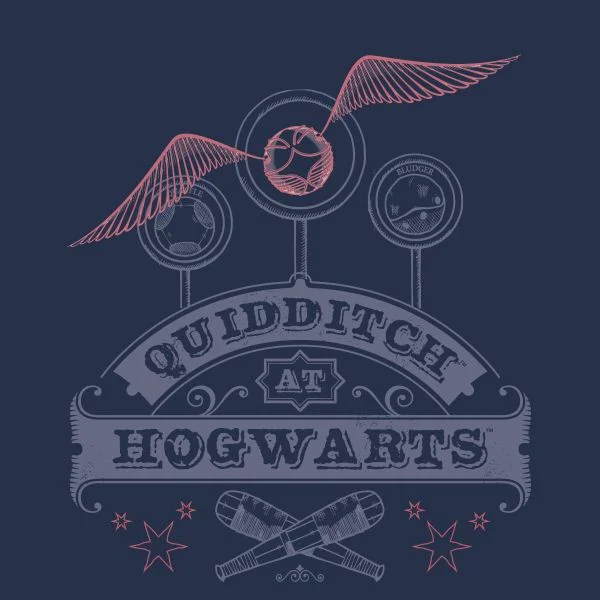 Harry Potter Quidditch At Hogwarts Women's T-Shirt - Navy