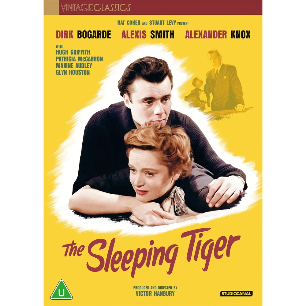 The Sleeping Tiger (Vintage Classics) Bild 1
