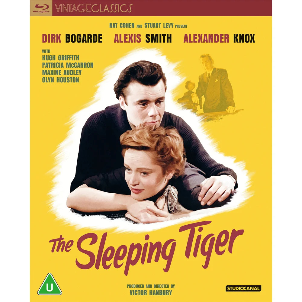 The Sleeping Tiger (Vintage Classics) Bild 1