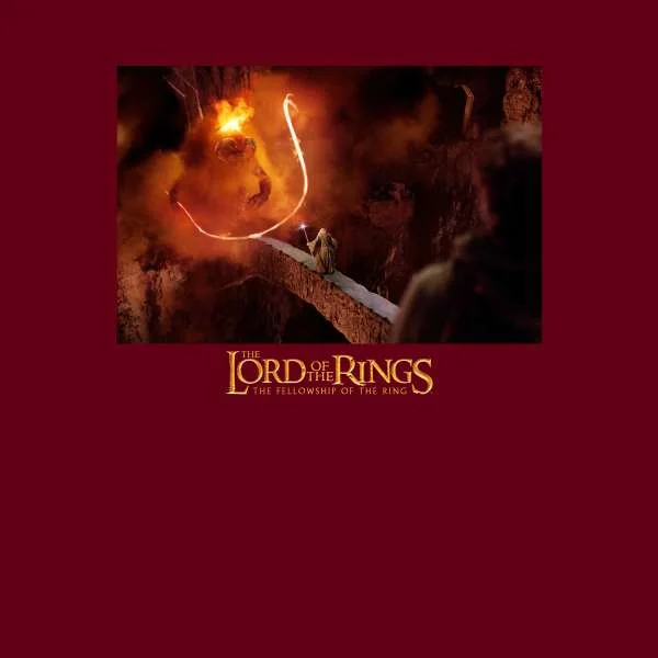 Lord Of The Rings You Shall Not Pass Men's T-Shirt - Burgundy