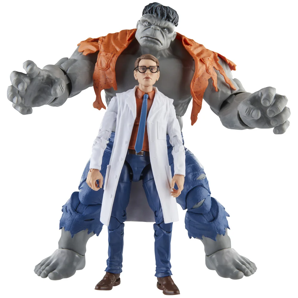 Hasbro Marvel Legends Series Gray Hulk and Dr. Bruce Banner Action Figures Bild 1