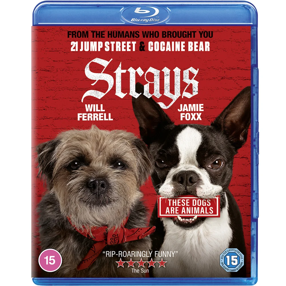 Strays Bild 1