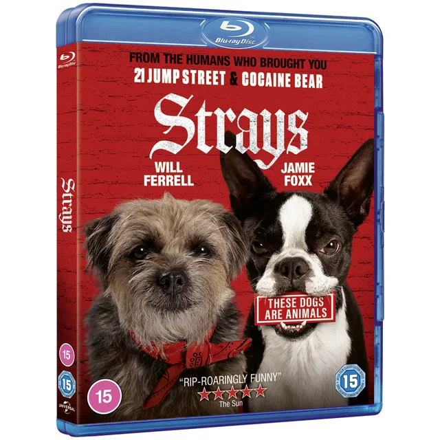 Strays