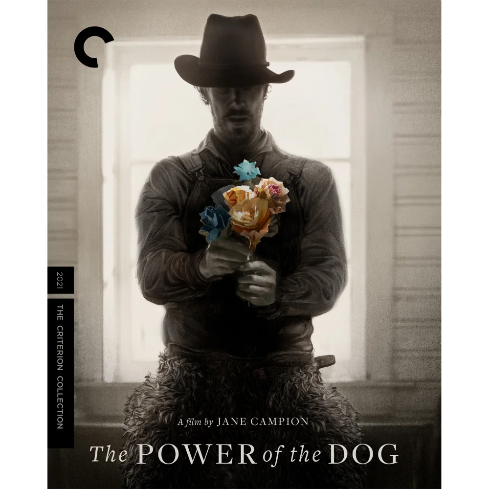 The Power of the Dog 4K UHD The Criterion Collection Bild 1