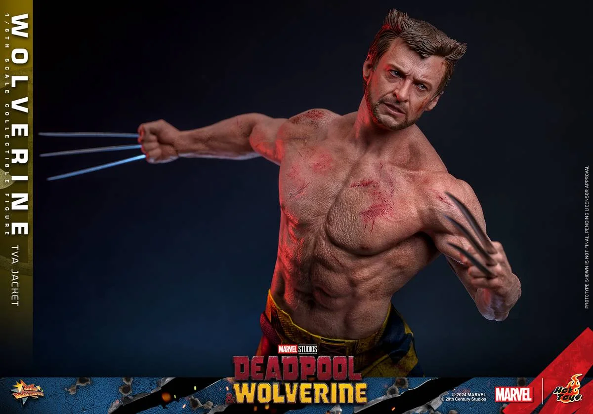 Hot Toys 1:6 Wolverine (TVA Jacket Version) - Deadpool & Wolverine Bild 1