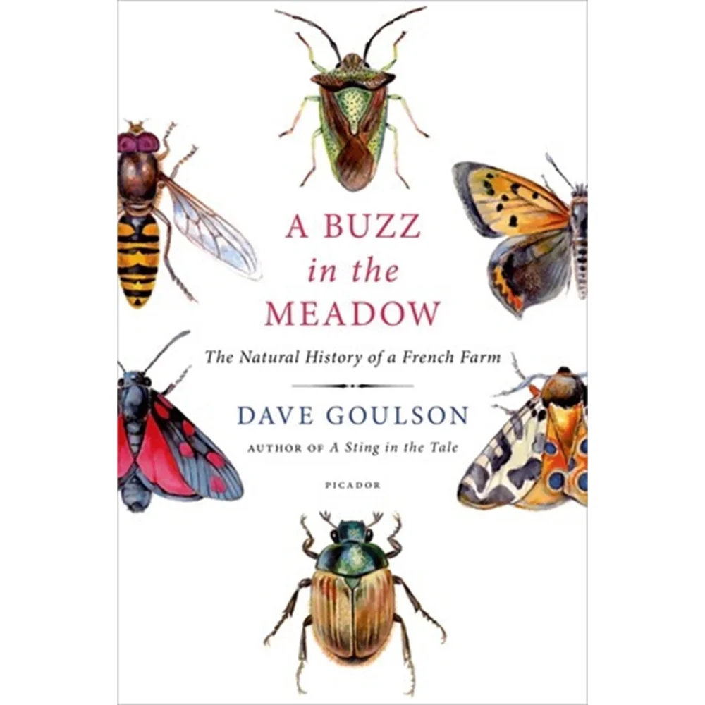 Buzz in the Meadow - Dave Goulson Bild 1