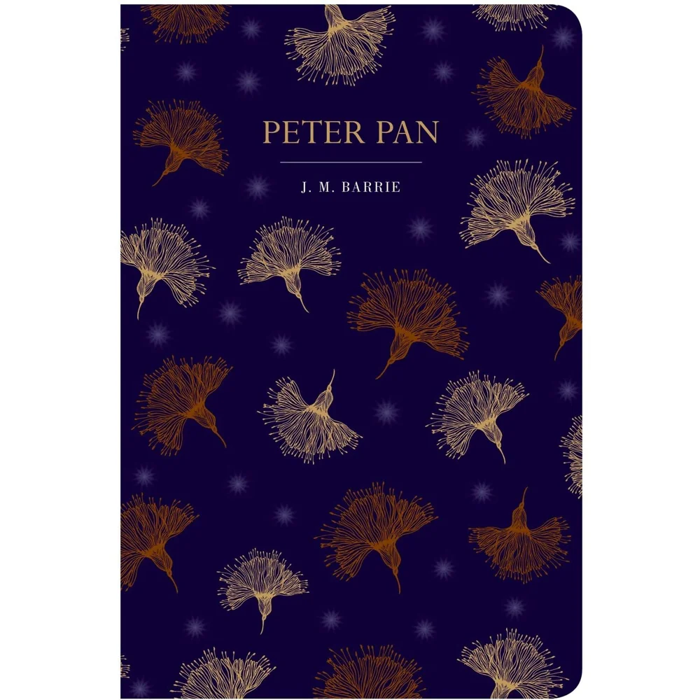Chiltern Classics: Peter Pan - J.M. Barrie Bild 1