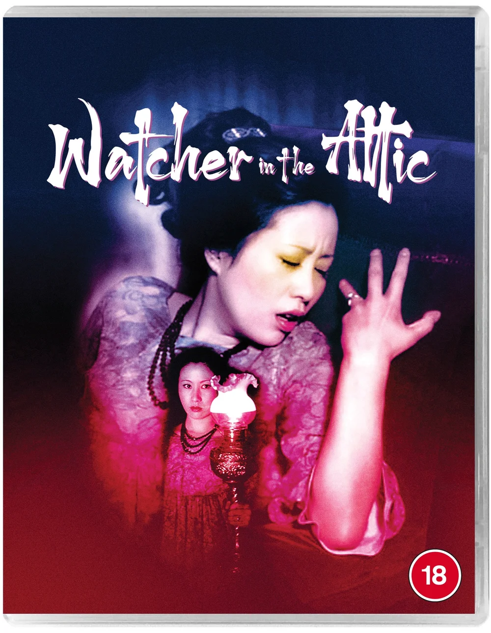Watcher in the Attic Bild 1