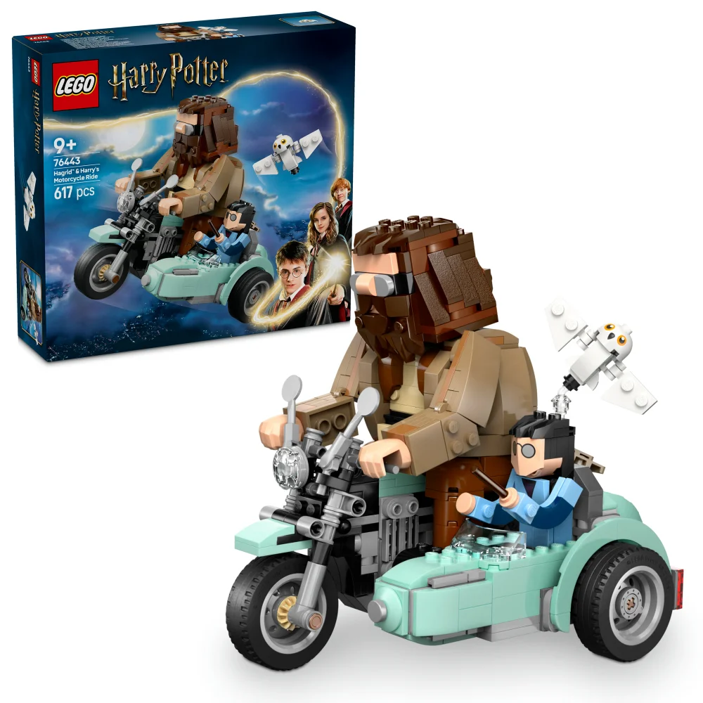 LEGO Harry Potter Hagrid & Harry’s Motorcycle Ride Toy 76443 Bild 1